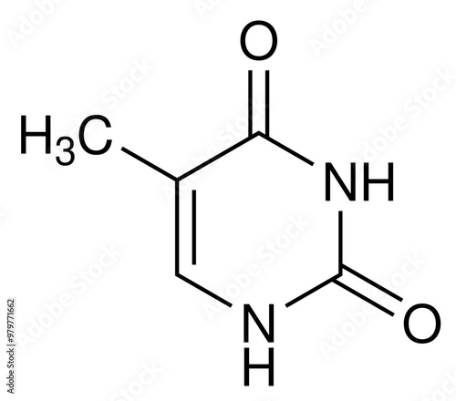 Thymin DNA Biochemie Strukturformel Vektor