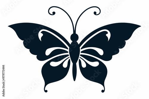 butterfly on white background