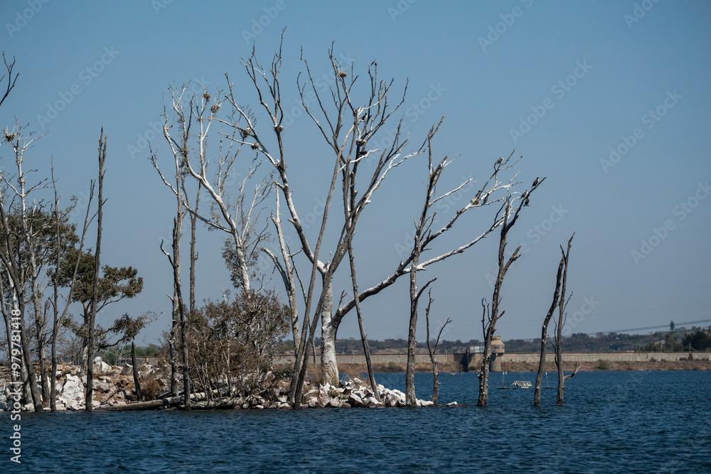 An intriguing shot of a small island in a dam, featuring dead trees and dry bushes used by local birdlife as perches, highlighting the contrast between nature and the dam’s water An intriguing shot of a small island in a dam, featuring dead trees and dry bushes used by local birdlife as perches, highlighting the contrast between nature and the dam’s water