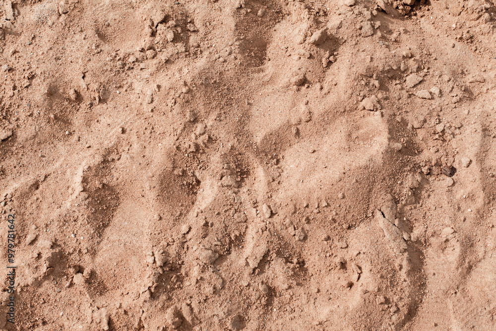 Background of beige, brown beach sand with natural pattern background. top view, flat lay. copy space, close up Background of beige, brown beach sand with natural pattern background. top view, flat lay. copy space, close up