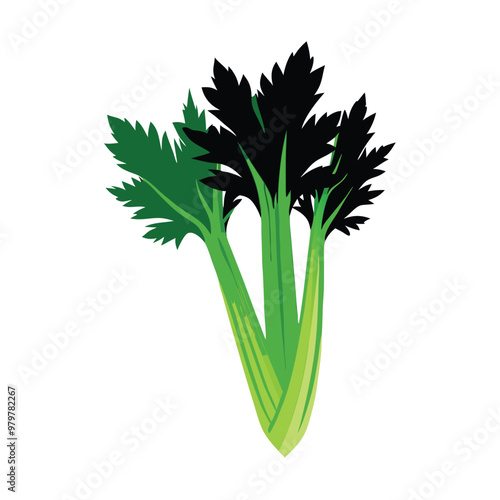 a celery vector silhouette, isolated on white background 
