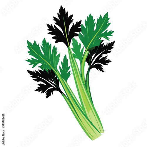 a celery vector silhouette, isolated on white background 