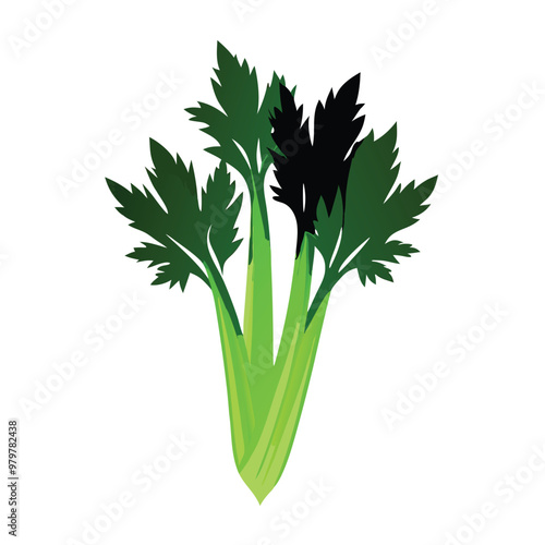 a celery vector silhouette, isolated on white background 