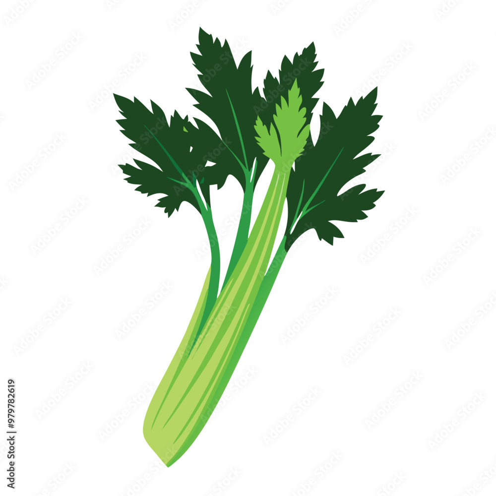 Fototapeta premium a celery vector silhouette, isolated on white background