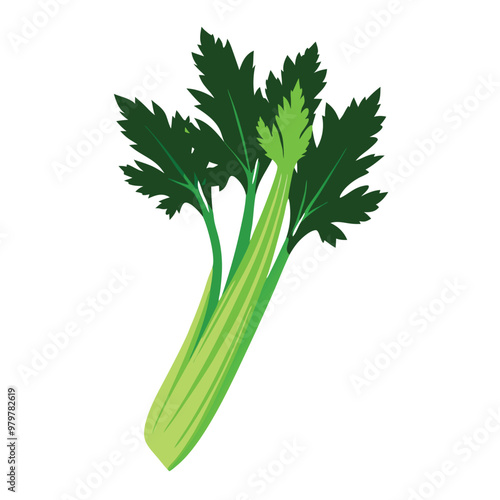 a celery vector silhouette, isolated on white background 