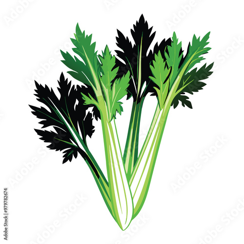 a celery vector silhouette, isolated on white background 