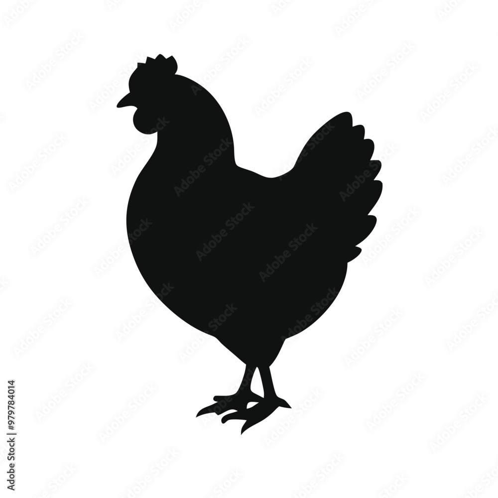 a Chicken, vector silhouette, isolated white background a Chicken, vector silhouette, isolated white background