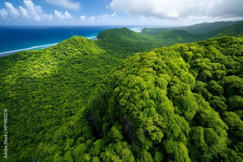 Trinidad and Tobago's lush Main Ridge Forest Reserve, the oldest legally protected forest reserve in the Western Hemisphere