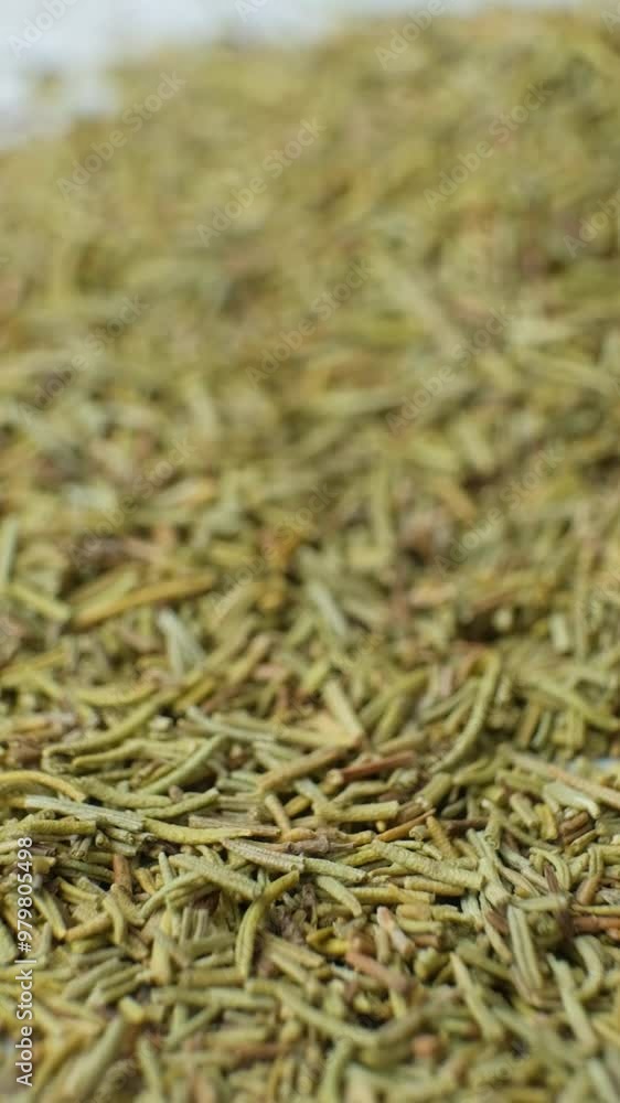 Dried rosemary spice sprinkles on white background slow motion vertical Dried rosemary spice sprinkles on white background slow motion vertical