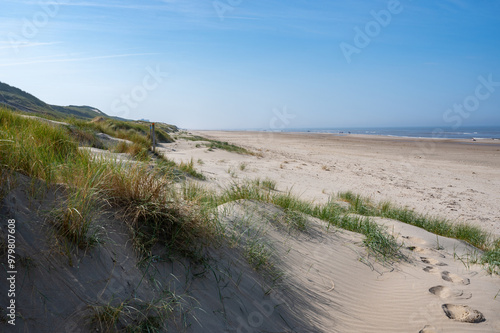 Beach with dunes and sea on the North Sea coast