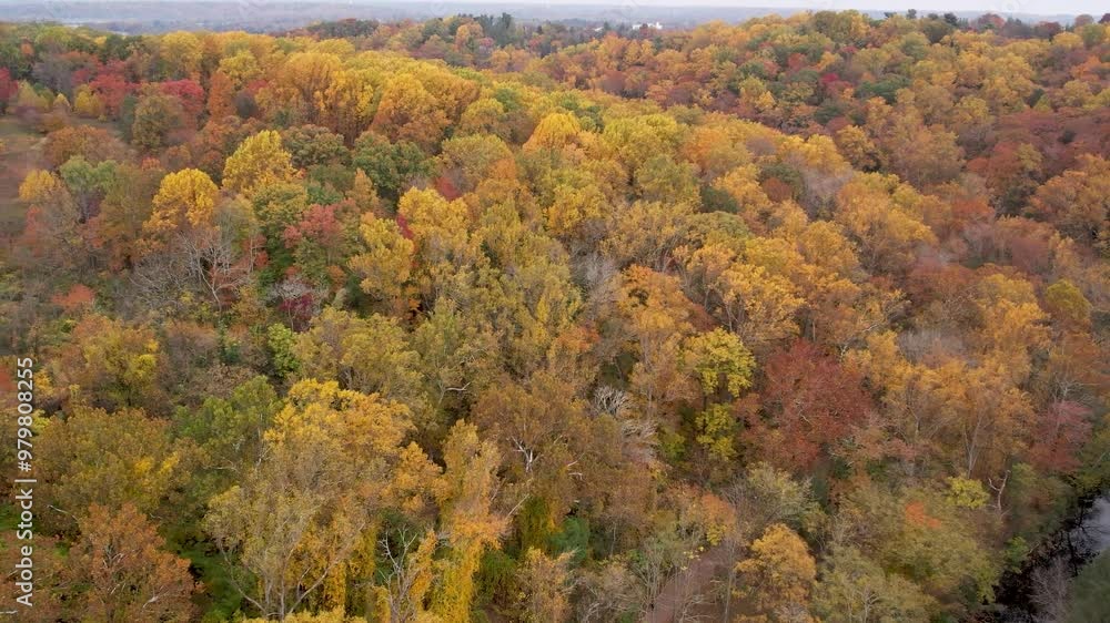 Aerial View of Fall Colored Trees Over Rolling Hills Aerial View of Fall Colored Trees Over Rolling Hills