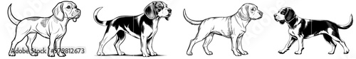 Sniffing dog. Black outline of a beagle hound working as a scent detection dog. Modern illustration.