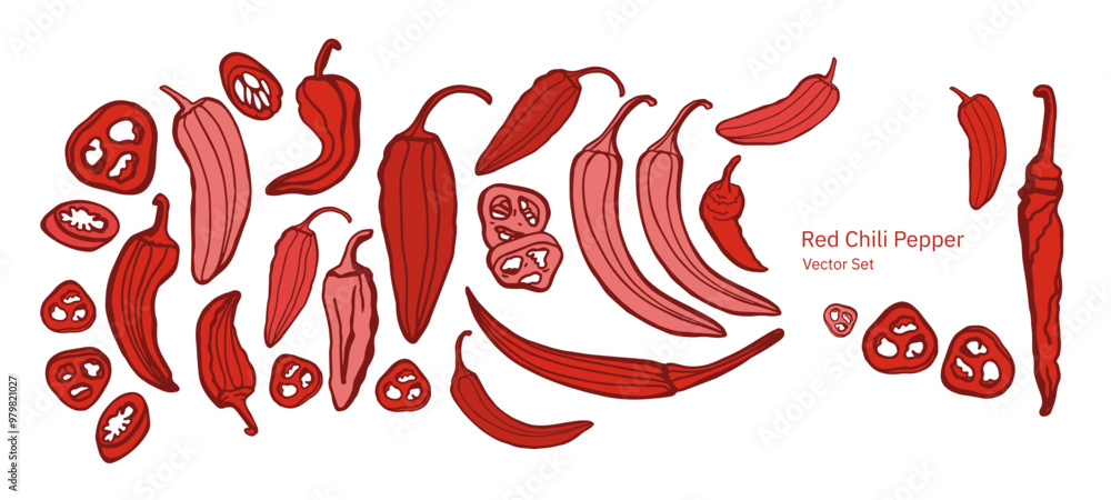 Hand drawn chili pepper, line art vector isolated set. Chili pepper outline. Red, green, yellow pepper on the white background. Jalapeno. Hand drawn chili pepper, line art vector isolated set. Chili pepper outline. Red, green, yellow pepper on the white background. Jalapeno.