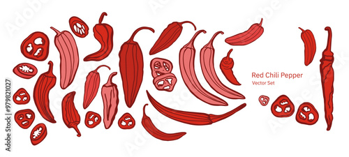 Hand drawn chili pepper, line art vector isolated set. Chili pepper outline. Red, green, yellow pepper on the white background. Jalapeno. 