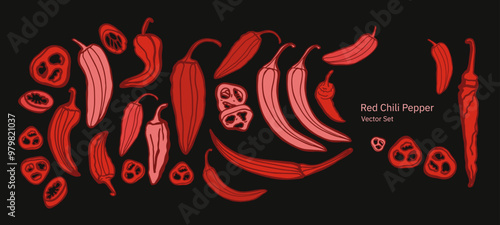 Hand drawn chili pepper, line art vector isolated set. Chili pepper outline. Red, green, yellow pepper on the white background. Jalapeno. 