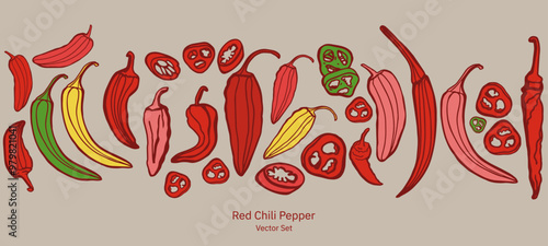Hand drawn chili pepper, line art vector isolated set. Chili pepper outline. Red, green, yellow pepper on the white background. Jalapeno. 