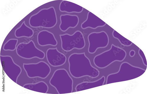 Coral Illustration