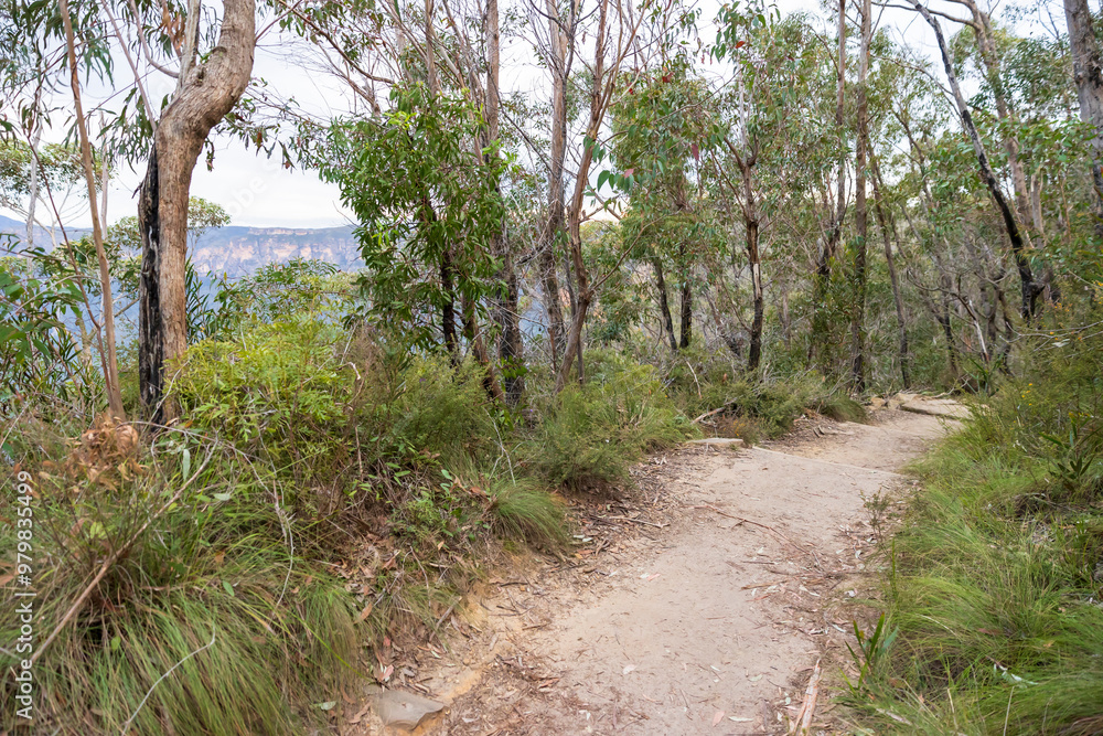 Photograph of the Cliff Top Track running around the Grose Valley in Blackheath in the Blue Mountains in New South Wales, Australia. Photograph of the Cliff Top Track running around the Grose Valley in Blackheath in the Blue Mountains in New South Wales, Australia.