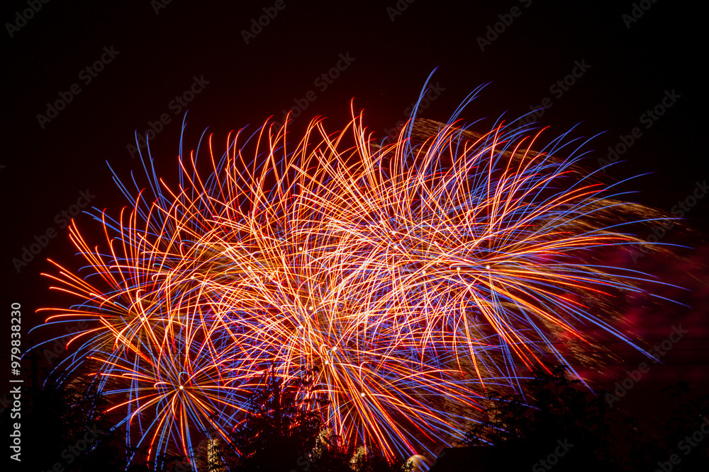 Purple and gold sparks of fireworks on the black sky Purple and gold sparks of fireworks on the black sky