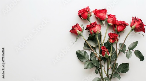 Bouquet of red roses on white background