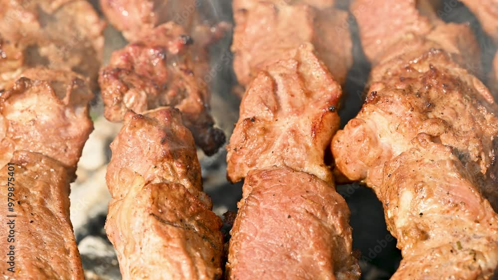 meat being grilled on skewers meat being grilled on skewers
