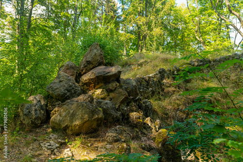 rocky hillside with a lot of trees and bushes