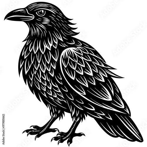 A black crow with a white eye stands on a white background. The bird has a very sharp beak and is looking at the camera. The image has a dark and mysterious mood, with the crow being the main focus