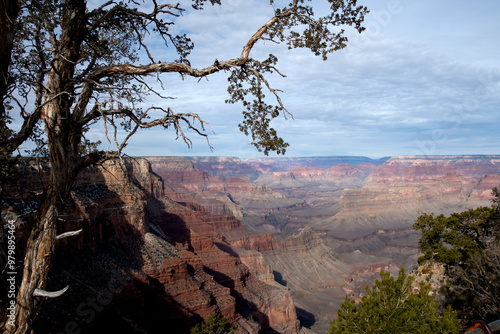 Scenic Grand Canyon National Park.