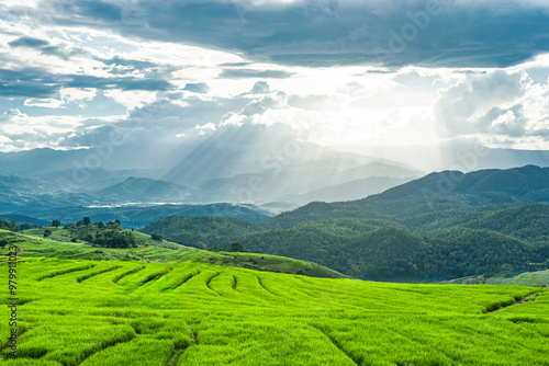 Fotografía Rice terraces, rainy season in Chiang Mai Province, Thailand
