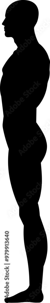 Side view of human body silhouette. Side view of human body silhouette.