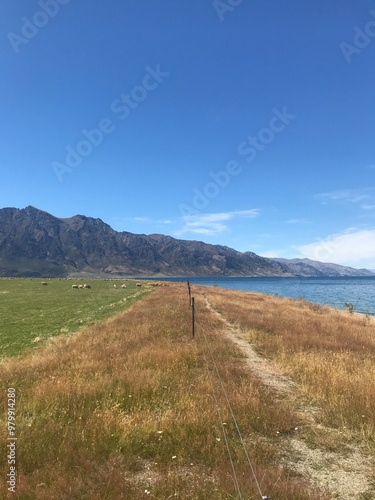 Serene Lake Hawea & Wanaka, Scenic Camping Spots, and Rolling Hills with Sheep – Ultimate Winter Adventure in New Zealand’s South Island Queenstown Lake Wakatipu Explore The Remarkables, Coronet Peak