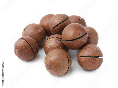 Wallpaper Mural Macadamia nuts in shells isolated on white Torontodigital.ca