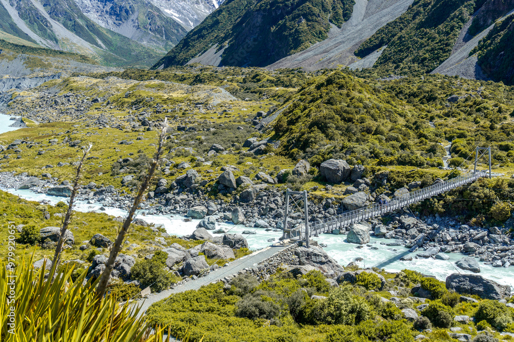 Obraz premium Lake Pukaki & Lake Tekapo Views with Lupin Fields, Hooker Valley Track, Southern Alps, Mt Cook Mountains Glacial Rivers, Snow-Capped Peaks, Scenic Trails, Landscape New Zealand’s Canterbury Queenstown