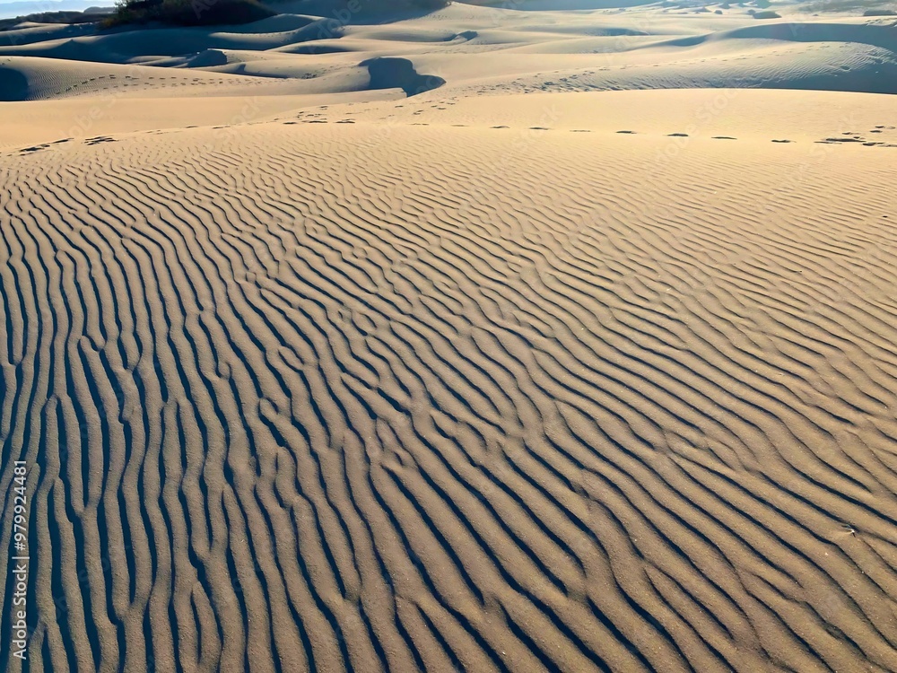 Obraz premium sand dunes on the beach