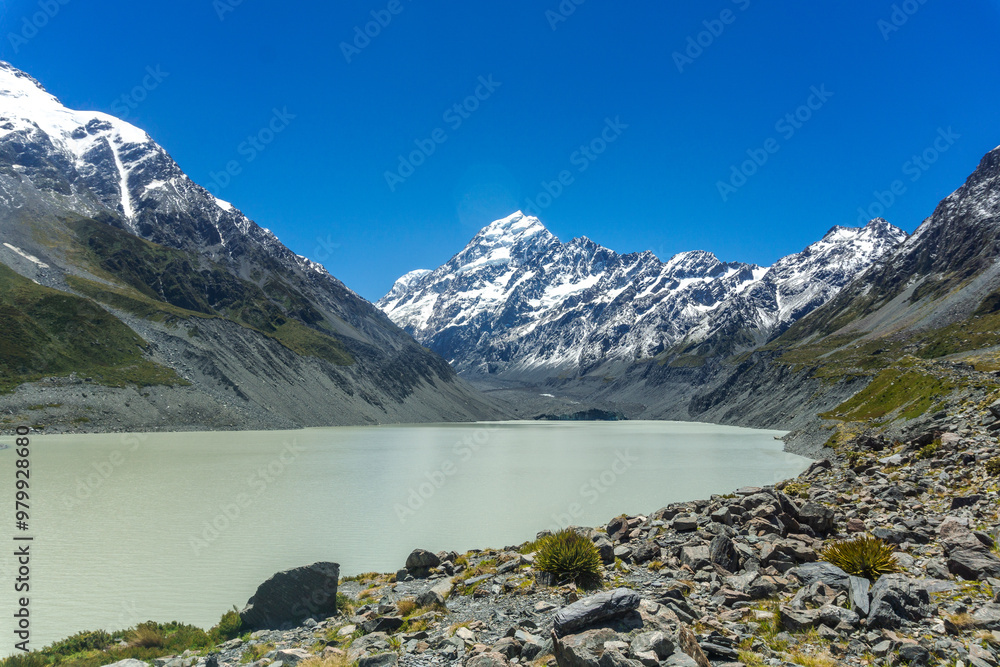Fototapeta premium Lake Pukaki & Lake Tekapo Views with Lupin Fields, Hooker Valley Track, Southern Alps, Mt Cook Mountains Glacial Rivers, Snow-Capped Peaks, Scenic Trails, Landscape New Zealand’s Canterbury Queenstown
