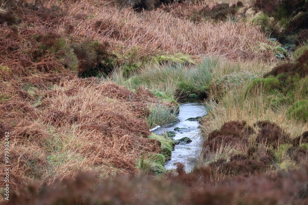 Wicklow Mountains in Ireland Wicklow Mountains in Ireland