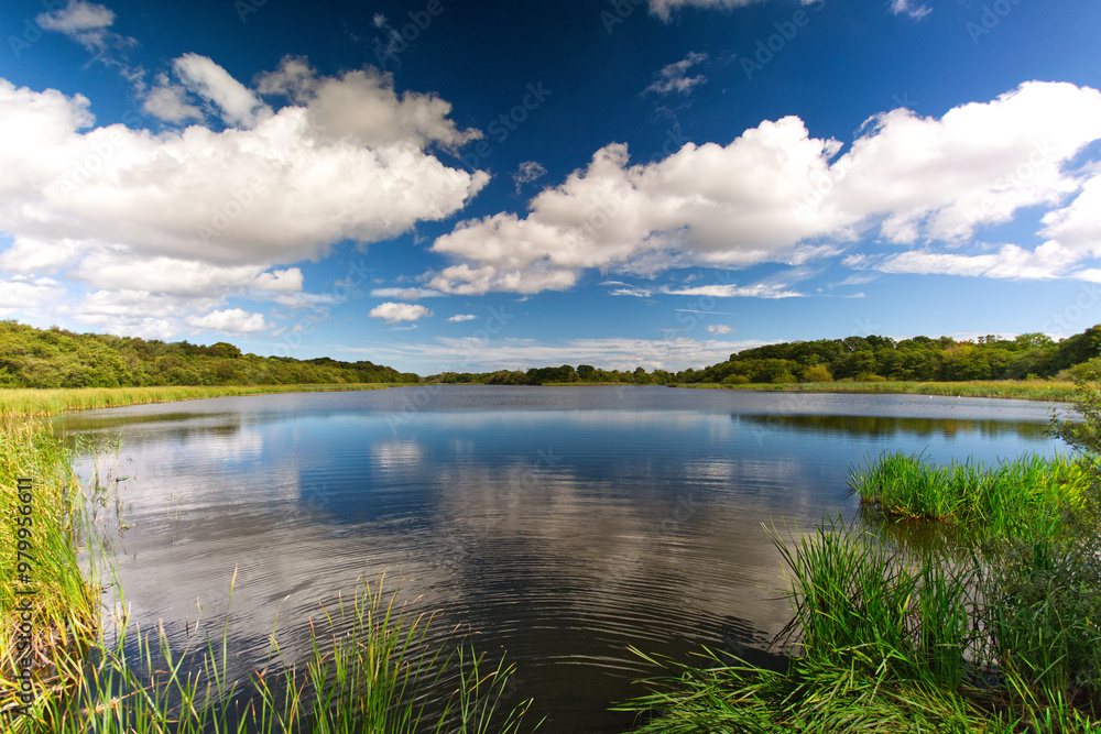 Fototapeta premium Ormesby broad