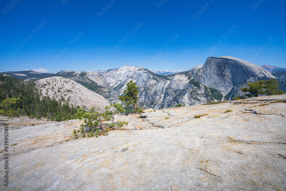 hiking from upper yosemite falls to north dome in yosemite national park