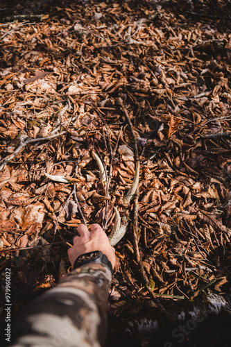 Wallpaper Mural Whitetail shed antler Torontodigital.ca