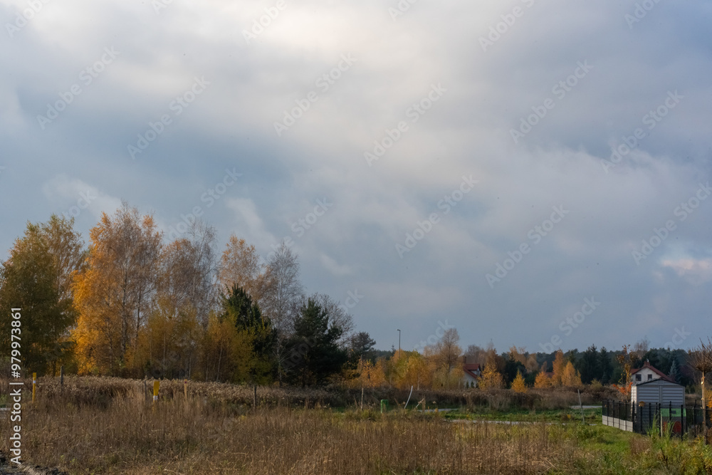 Fototapeta premium Beautiful autumn landscape with colorful foliage under a gray sky covered with clouds. Concept of seasonal transition and the beauty of nature in fall. High quality photo