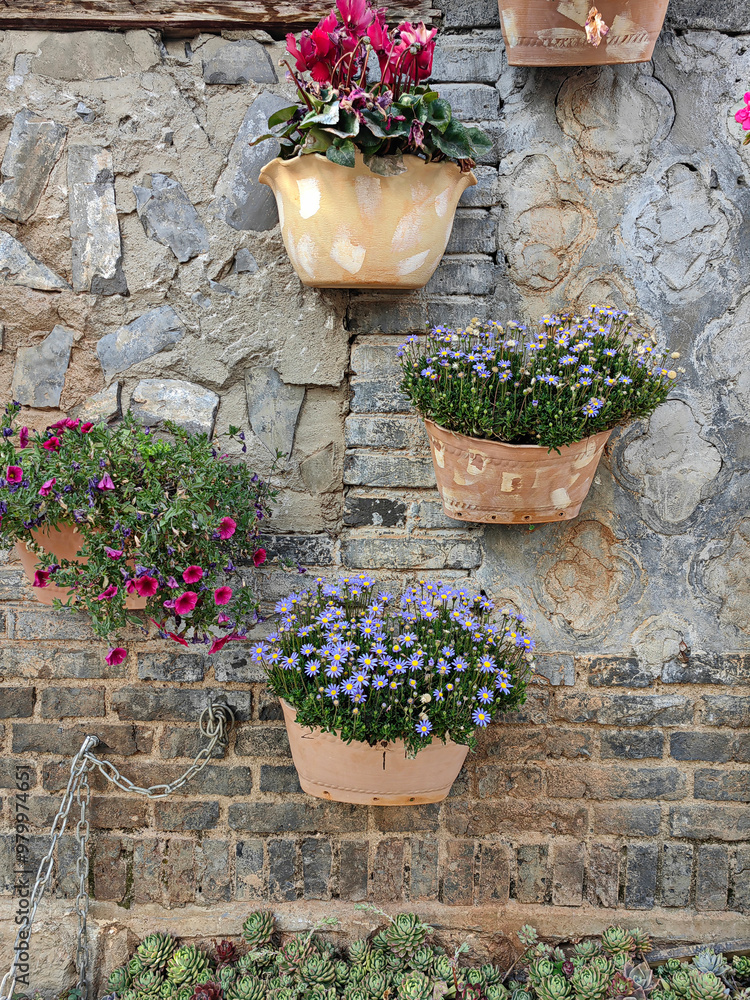 Pink, yellow and purple petunia flowers hanging in plastic pots in nursery garden Pink, yellow and purple petunia flowers hanging in plastic pots in nursery garden