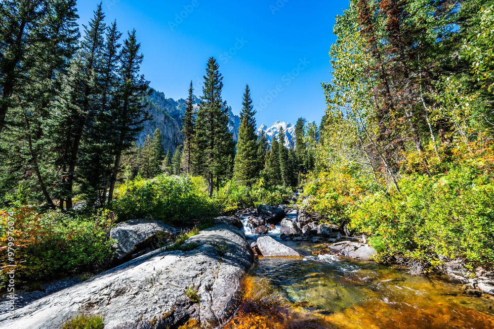 Grand Teton National Park in the Fall of 2024 while hiking the Cascade Canyon Trail and the Snake River Overlook Grand Teton National Park in the Fall of 2024 while hiking the Cascade Canyon Trail and the Snake River Overlook