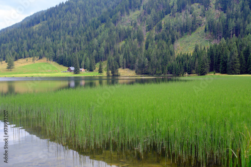 In the Austrian Alps