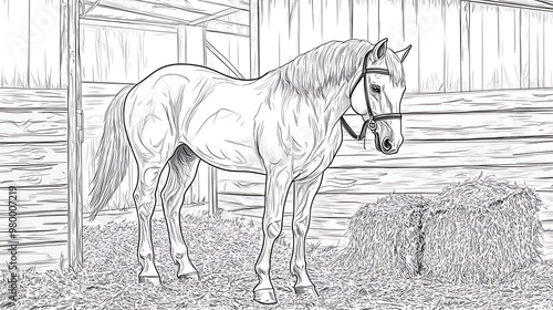 simple coloring page of horse photo