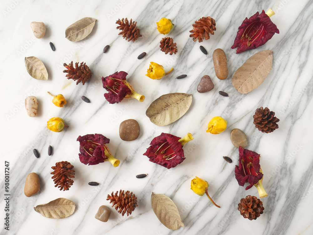 Flat lay, copy space, autumn fall concept isolated on a white marble.