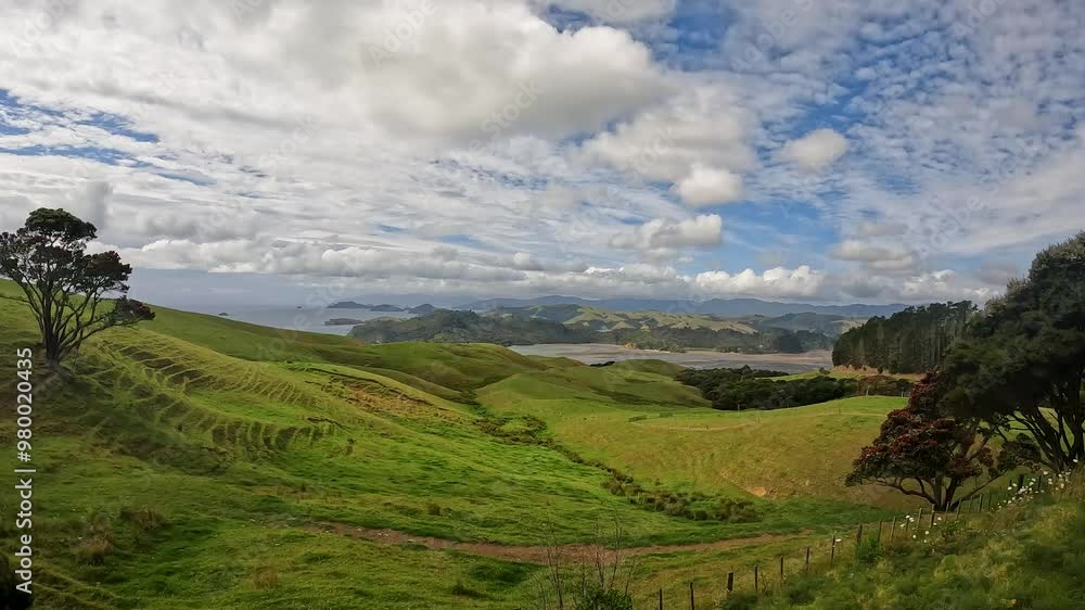 McGregor Bay and Coromandel Harbour from the Kauri Block Walk lookout, nestled in the native bush of the Coromandel Ranges. New Zealand McGregor Bay and Coromandel Harbour from the Kauri Block Walk lookout, nestled in the native bush of the Coromandel Ranges. New Zealand