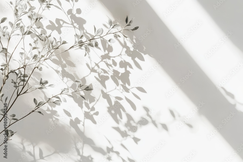 Abstract sunlight backdrop featuring plant shadows on a white surface Abstract sunlight backdrop featuring plant shadows on a white surface