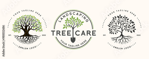 set Oak Tree Leaf Root Family Tree Oak Banyan Maple Stamp Emblem Label vintage style logo design vector