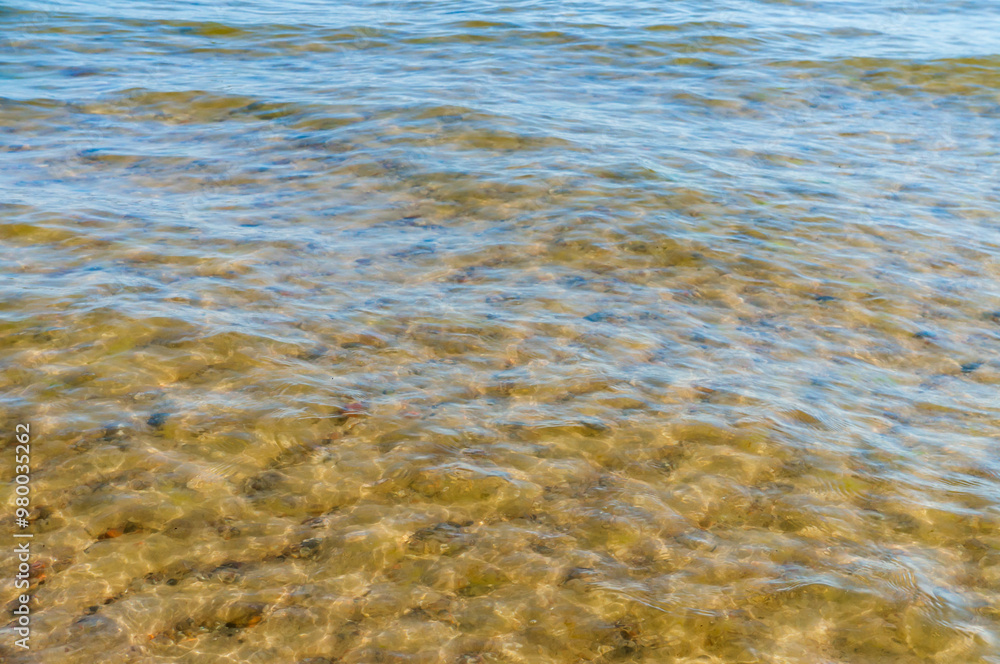 The background is clear water. Water with a yellow tint. The bottom of a body of water through the water. The background is clear water. Water with a yellow tint. The bottom of a body of water through the water.