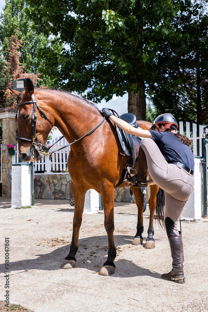 A woman is helping a horse stand up A woman is helping a horse stand up